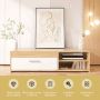 TV cabinet, 1 cabinet, 2 shelves, 120 × 32 × 42 cm