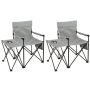 Tourist chair, 2 pcs, Gray, 83 × 91 × 55 cm