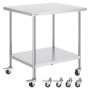 Stainless Steel Work Table with Wheels, 30x18x38 Inch, Silver