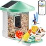 Smart bird feeder with 2K HD camera, solar powered, wireless