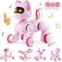 Interactive Remote Control Robotic Cat Toy RC