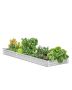 Metal Galvanized Raised Bed, 12 x 4 Feet, Outdoor Planter Box