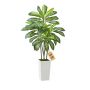 Artificial dracaena tree 1524 mm with white tall pot, for home and office decor