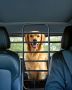 Adjustable dog car barrier – metal partition for SUVs and trucks