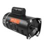1.5 HP pool pump motor, 56Y frame, 115/230 V, 3450 rpm.