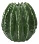 Vaas Cactus Ball, Ø 23,5 × 24,5 cm