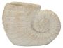 Vaas Shell Sand A, 33 × 23 × 19 cm