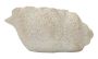 Vaas Shell Sand B, 35 × 18 × 23 cm