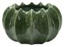 Taimepott Cactus Basket, Ø 22 × 13,5 cm