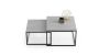 Concrete design coffee table Twin 70x70x42cm / 60x60x36 cm, gray