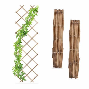 Taimede tugirestid Relaxdays 10048821.0, 3 tk, 180 × 60 × 1,5 cm