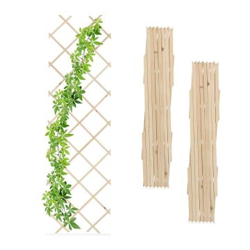 Taimerest Relaxdays, 3 tk, 180 × 60 × 1 cm