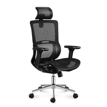 Kontoritool Mark Adler Expert 6.2, 73 × 52 × 36 cm