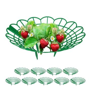 Maasikataimede toed Relaxdays, 10 tk, 10 × 30 cm