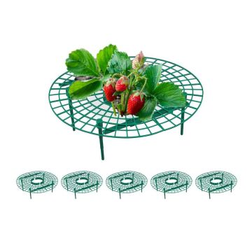 Maasikaraamide komplekt Relaxdays, 6 tk, Roheline, 10 × 30 cm