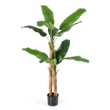 Kunstbanaanipalm, koos potiga