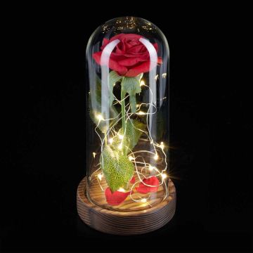Kunstroos Relaxdays, LED-valgusketiga, Punane, Ø 11 × 22 cm