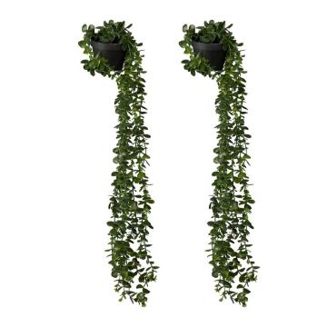 Искусственные эвкалипты Relaxdays, 2 шт, 20 × 80 см