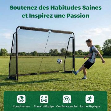 Football goal, children's, 8 pegs, Black, 300 × 91 × 200 cm