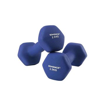 Hantlite komplekt 2x2,5 kg, sinine
