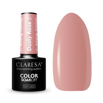 Гибридный лак для ногтей CLARESA Dusty Rose 2