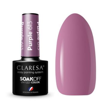 Hübriidlakk CLARESA Purple 613