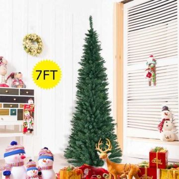 Christmas tree, 700 branch tips, 210 × 75 cm