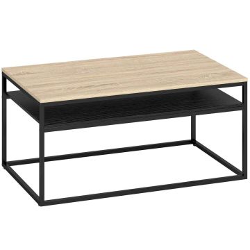 Kohvilaud, 2 riiulit, 100 × 47 × 59,8 cm