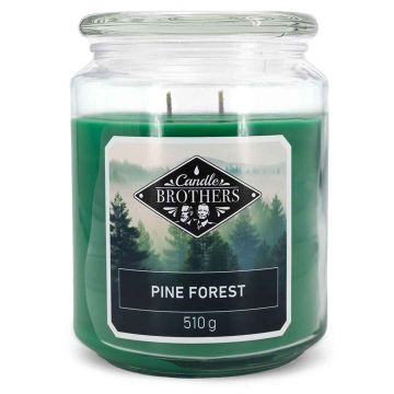 Lõhnaküünal Candle Brothers, 1 tk, Roheline, Ø 10 × 15 cm