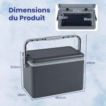 Portable cooler box, 12 l, 48.5 × 31.5 × 29 cm