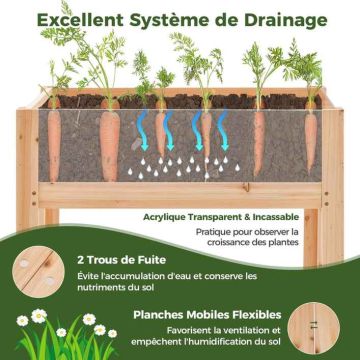 Raised bed, 100 × 78 × 59 cm