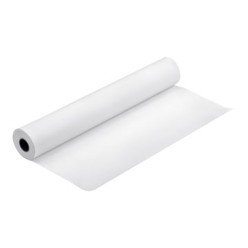 Rullpaber Epson Enhanced Adhesive Synthetic Paper Roll, 24 × 30,5 m