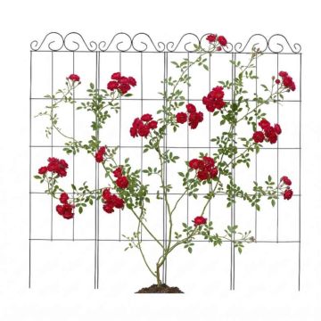Roosivõred Relaxdays 10053007.0, 4 tk, 30 × 116 × 0,5 cm