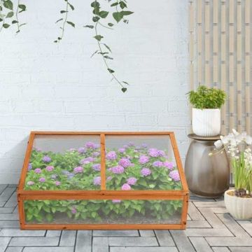 Greenhouse, Folding Lid, 100.33 × 63.5 × 38.1 cm