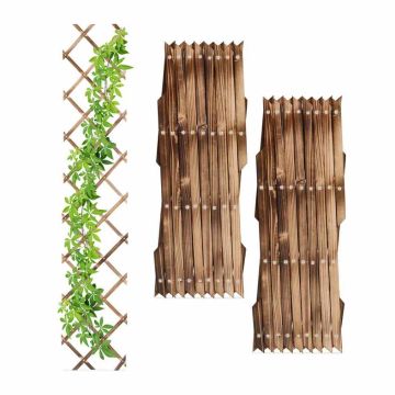 Aiavõre Relaxdays 10048825.0, 3 tk, 180 × 30 × 1,5 cm