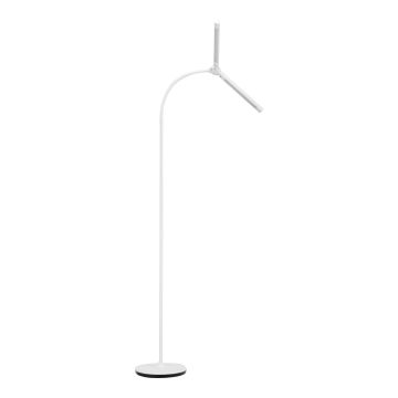 Laualamp GLOW 6019, DUAL-valguspea