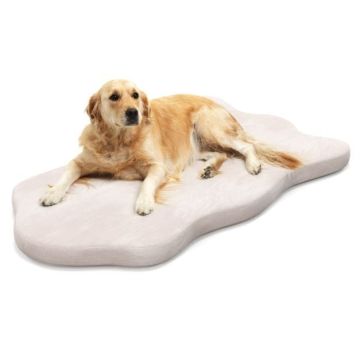 Dog Bed, Orthopedic, 43 × 26 × 2 inches