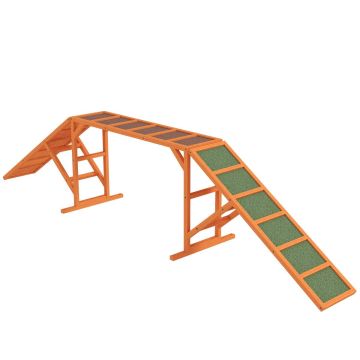 Koerte agility sild PawHut 325x55x69cm, erinevates värvitoonides