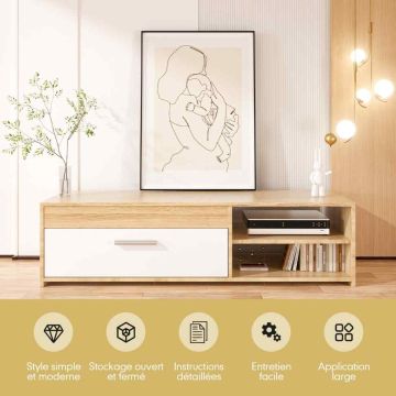 TV cabinet, 1 cabinet, 2 shelves, 120 × 32 × 42 cm