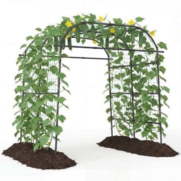 U-shaped metal arch for climbing plants, PE coating, 181 x 190-245 x 230 cm, black