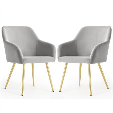 Söögitoa toolid ESTELLE, 2 tk, hallid/kuldsed, 54,5 × 83 × 58 cm