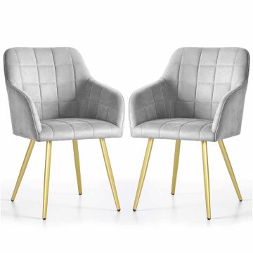 Söögitoa toolide komplekt LUXANO, 2 tk, halli/kuldset värvi, 54 × 82 × 58 cm