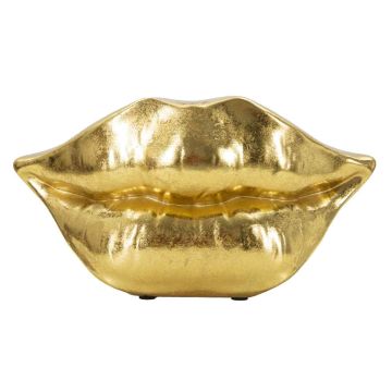 Vaas Mouth Lip, 23 × 12 × 8 cm