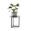 Abilaud 51x50x50cm., must