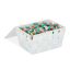 Kaanega hoiukast 10,5x19,5x14,5cm., valge