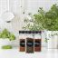Set of 20 transparent spice jars 10.5x4.5x4.5cm., black