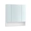 Seinale kinnitatav vannitoakapp peegliga 16,5x70x75cm, valge