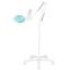 Magnifying LED lamp GLOW MOONLIGHT 8013/6
