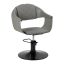 Ergonomic barber chair Hair System Halo, gray, hydraulic height 40-50 cm