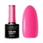 Hybrid nail polish CLARESA Full of Colours 3